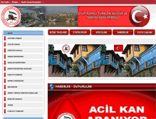 Tablet Screenshot of eyuprumeliturkleri.com